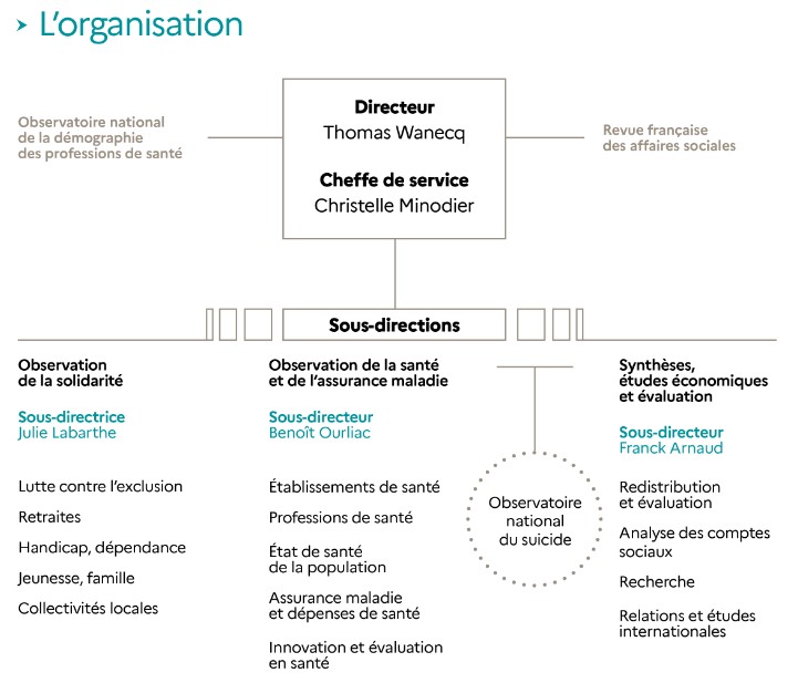 Image organigramme de la DREES