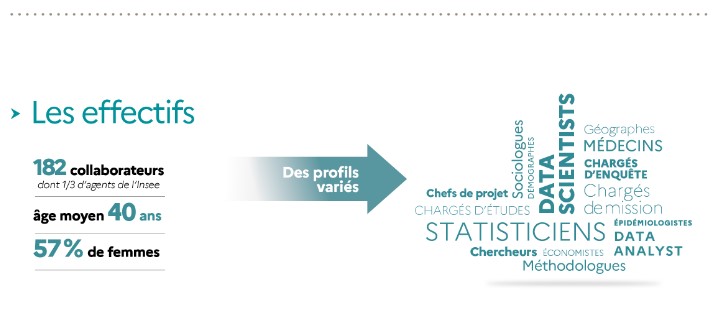 Visuel sur les effectifs de la DREES